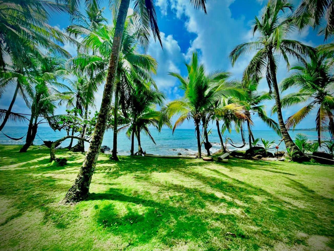 Guesthouse Island Escape South End Екстериор снимка